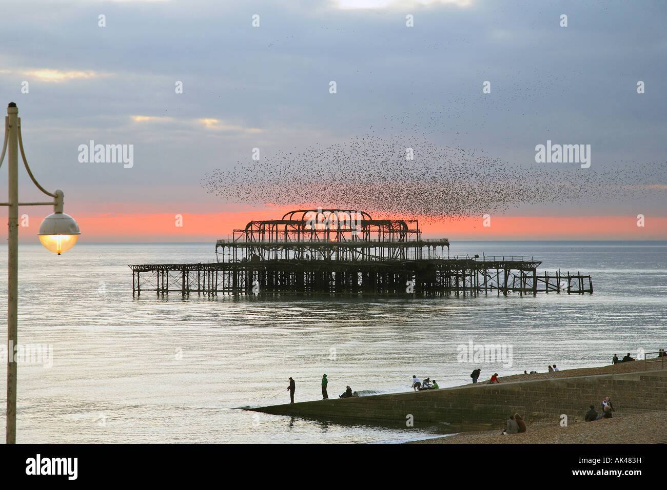 eine Herde von Stare bei Sonnenuntergang über dem West Pier in Brighton, East Sussex, England Stockfoto