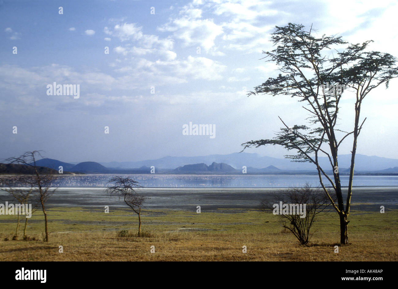 Lake Baringo in der großen afrikanischen Grabenbruch Kenia in Ostafrika Stockfoto