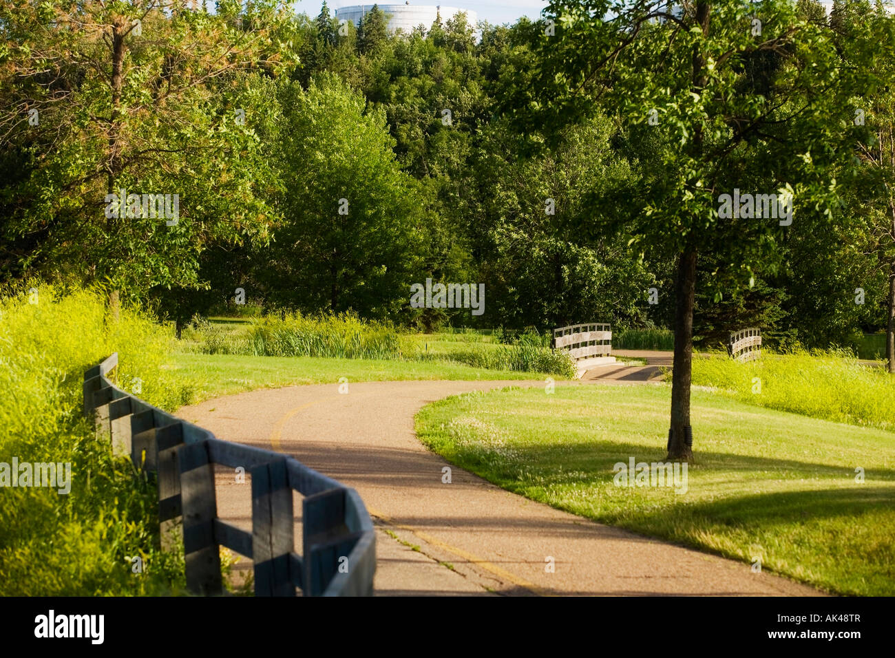 Straße durch das Land Stockfoto