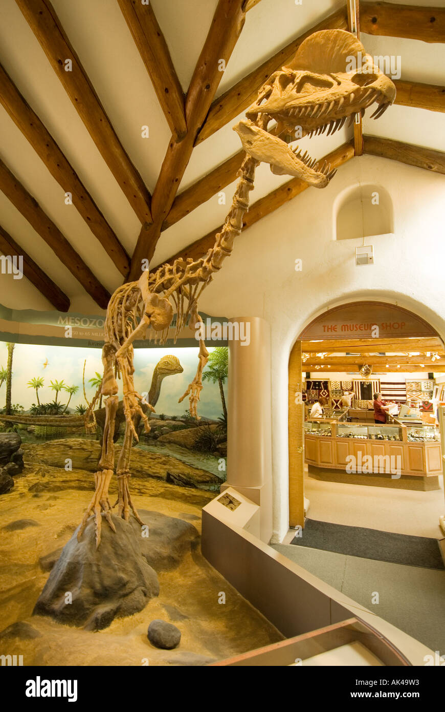 ARIZONA FLAGSTAFF Museum of Northern Arizona Pre historischen Dinosaurier-Ausstellung Stockfoto