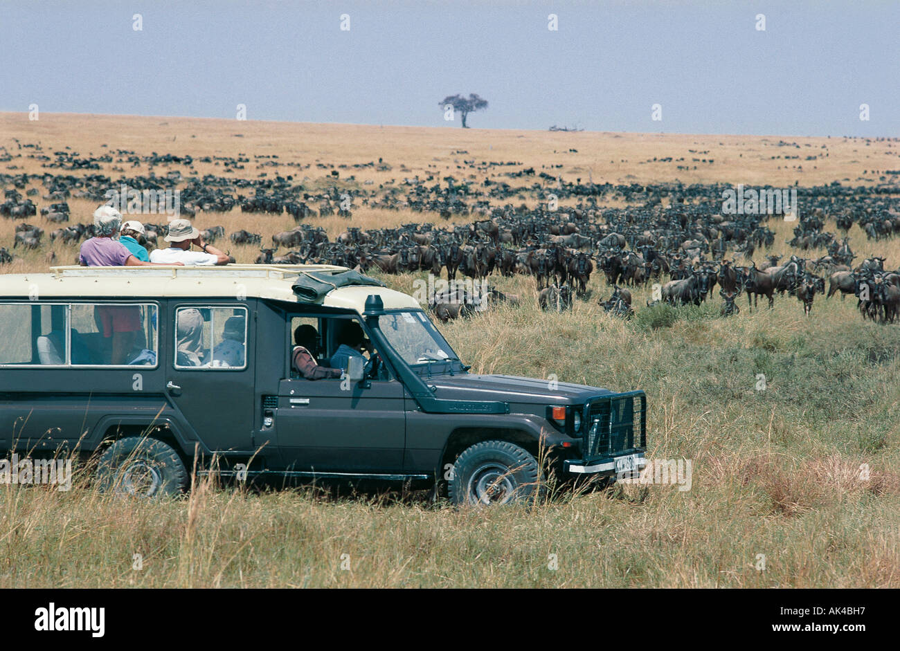 Toyota Landcruiser auf eine Pirschfahrt durch die riesigen Herden von Gnus in der Masai Mara National Reserve Kenya Weiden Stockfoto