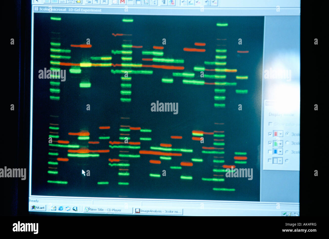 DNA-Analyse Stockfoto