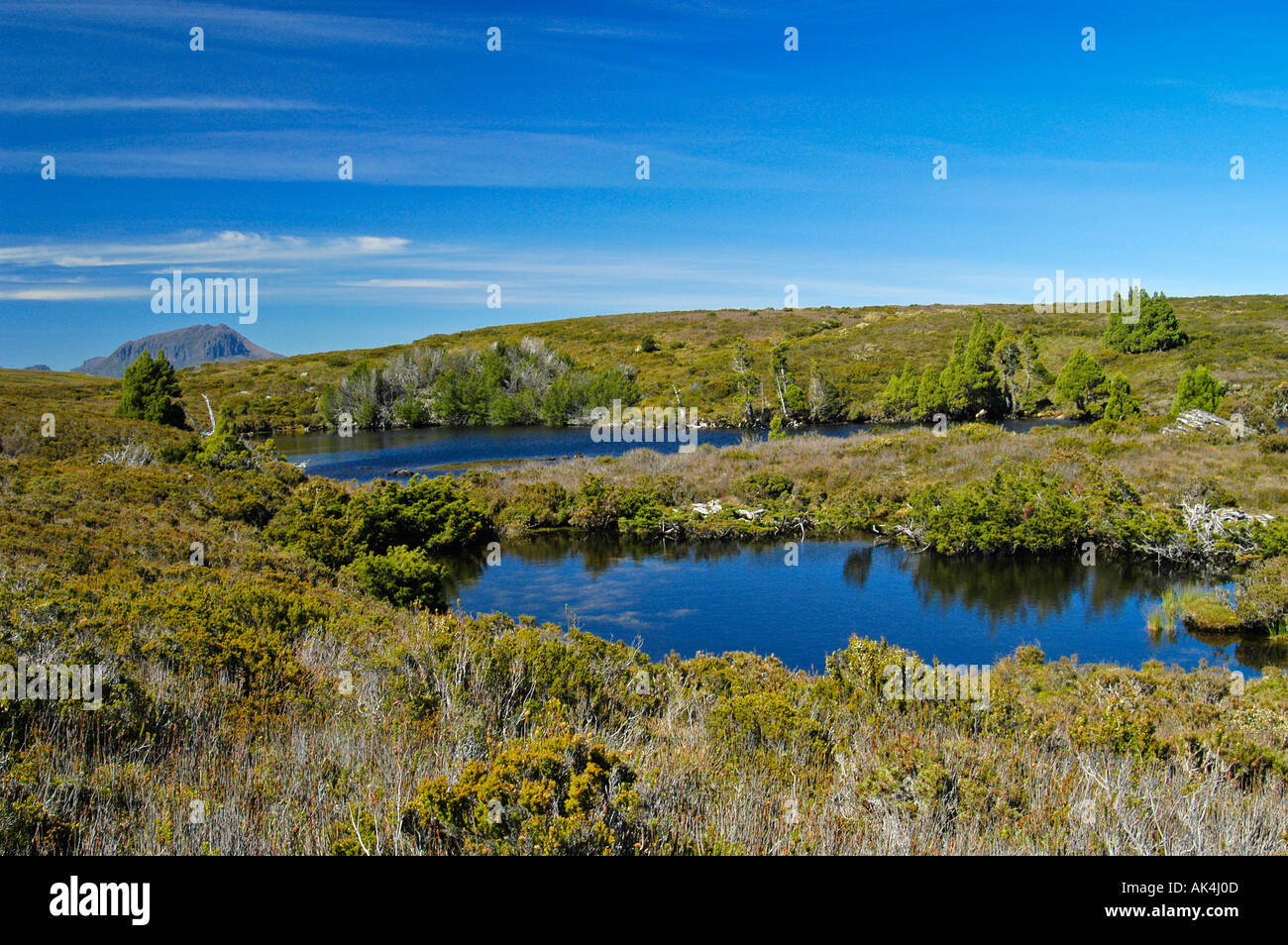 See wird auf Overland Track in Cradle Mountain Lake St. Clair Nationalpark Tasmanien Australien Stockfoto