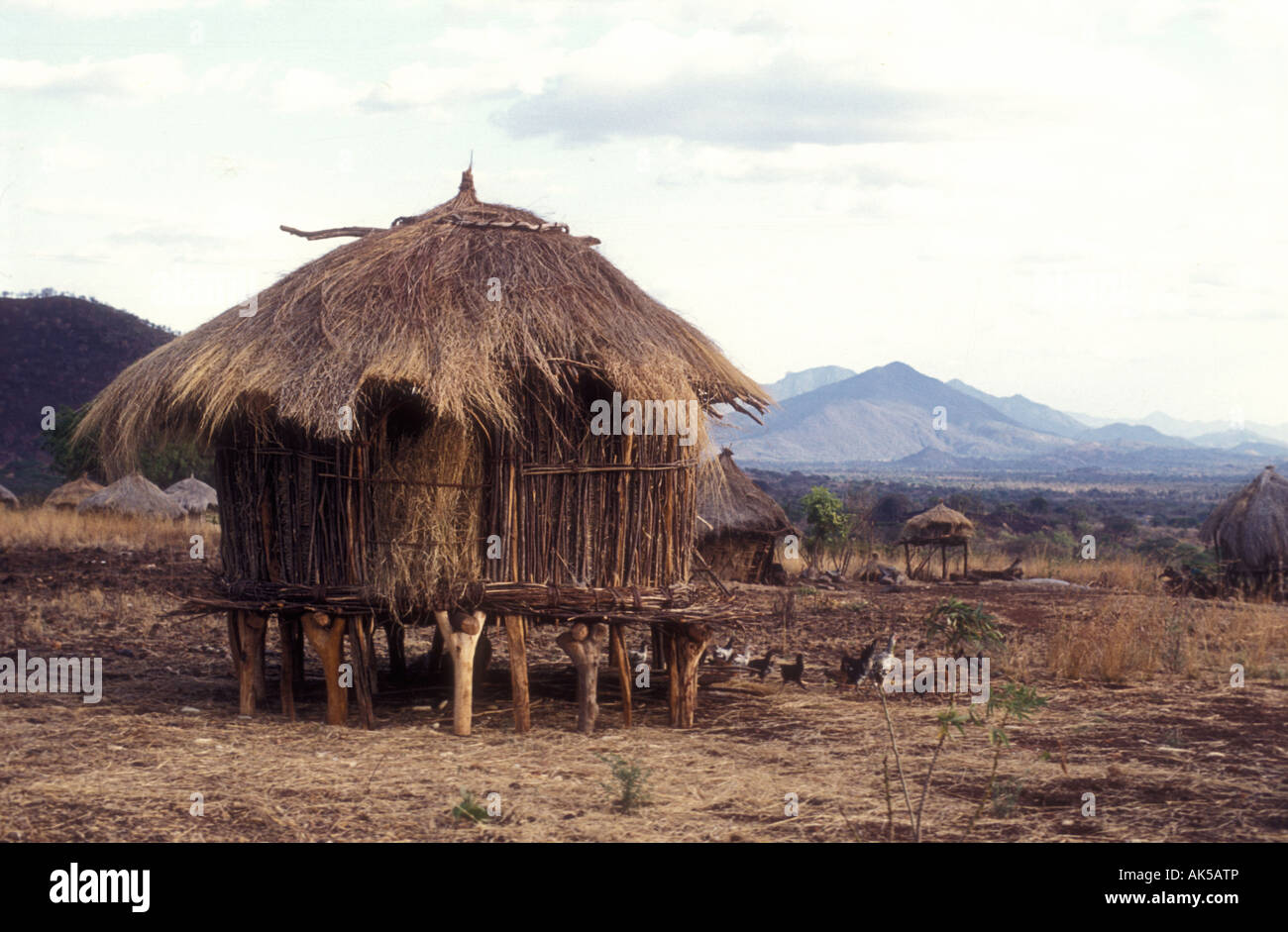 Traditionellen Getreidespeicher in einem Meru Gehöft im Meru Bezirk Kenia in Ostafrika Stockfoto