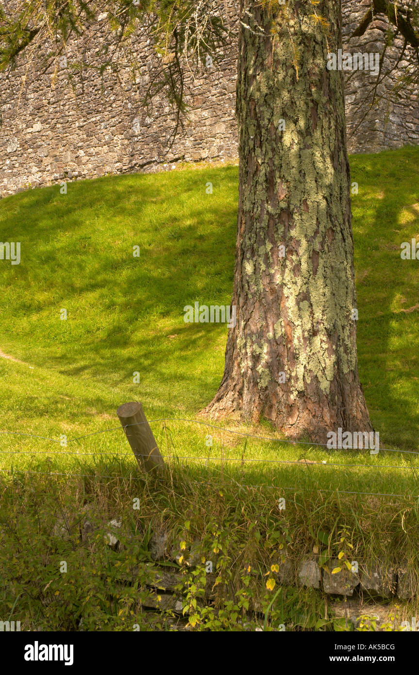 Weg neben Lydford Schloß Devon UK Stockfoto