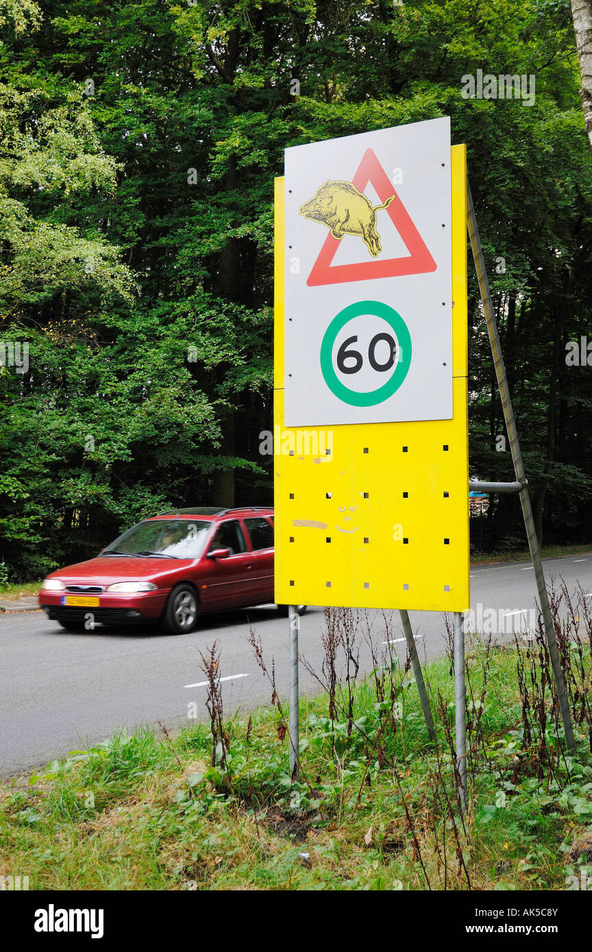Straßenschild-Wildschwein Stockfoto