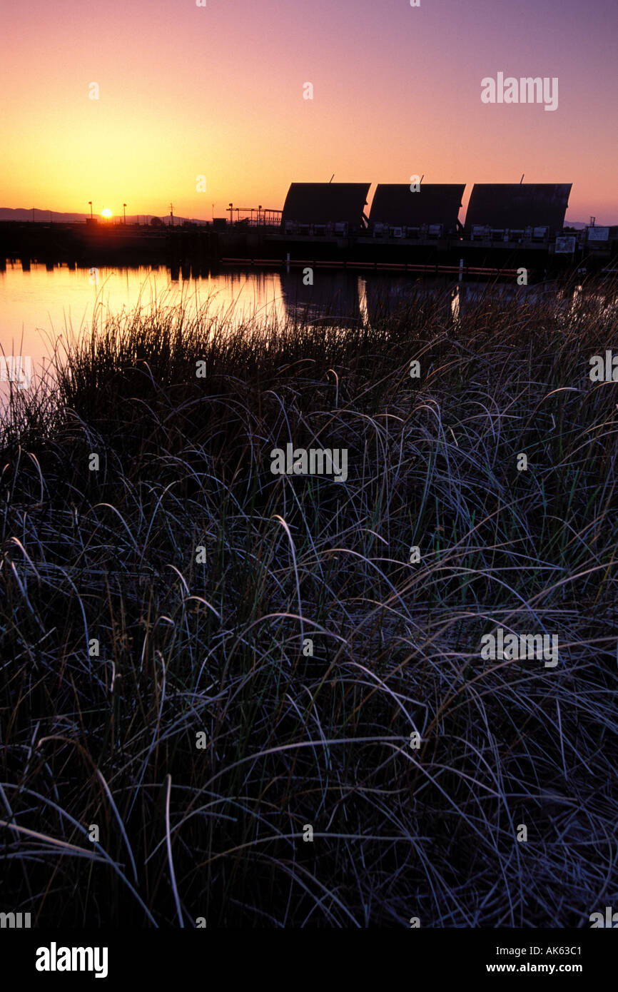 Kalifornien, Solano County, Montezuma Slough Gezeiten Tore Stockfoto