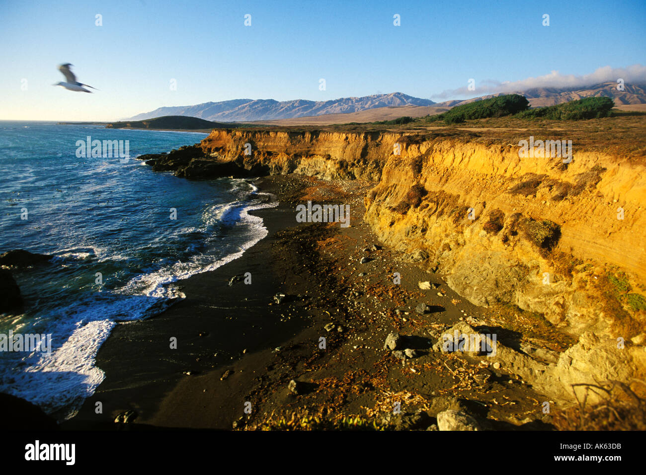 Küste von Kalifornien, San Luis Obispo County, südlich von Ragged Point Stockfoto