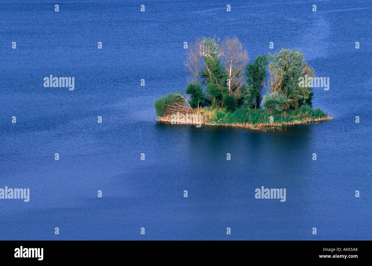 Kleine Insel im See Salagou Languedoc Roussillon Frankreich Kleine Insel Im Lac Salagou Languedoc Roussillon Frankreich Stockfoto