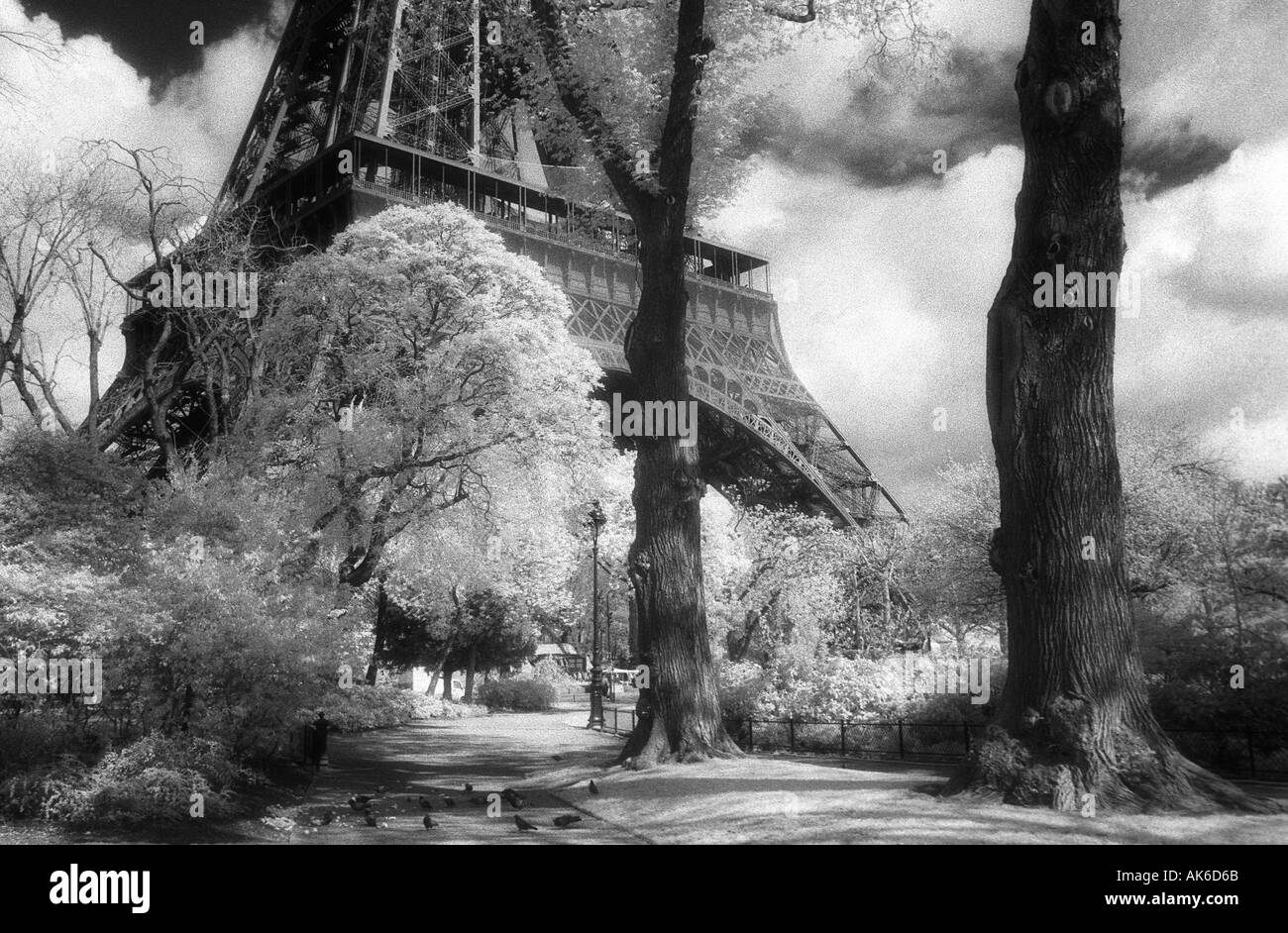 Der Eiffelturm und die Champs de Mar im Frühjahr Paris Frankreich Stockfoto