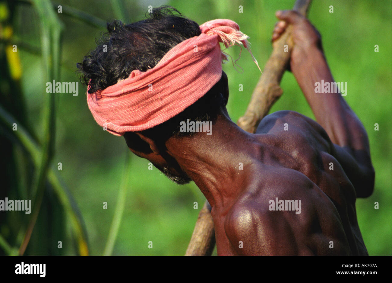 Muskulösen Körper von Keralas Bootsmann, Indien Stockfoto