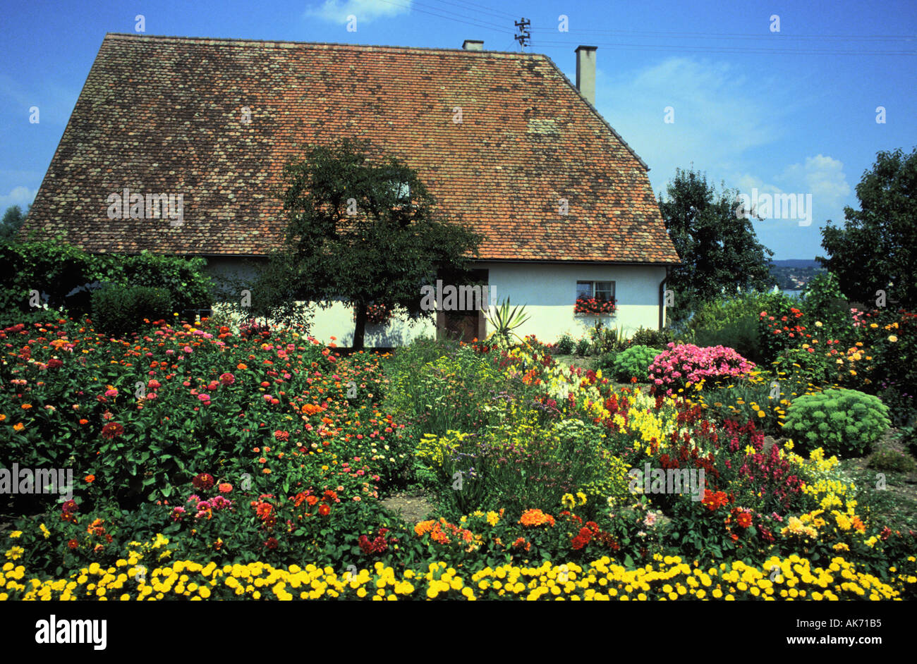 Garten vor einem Bauernhaus auf der Insel von Reichenau See Bodensee Baden-Württemberg Deutschland Stockfoto