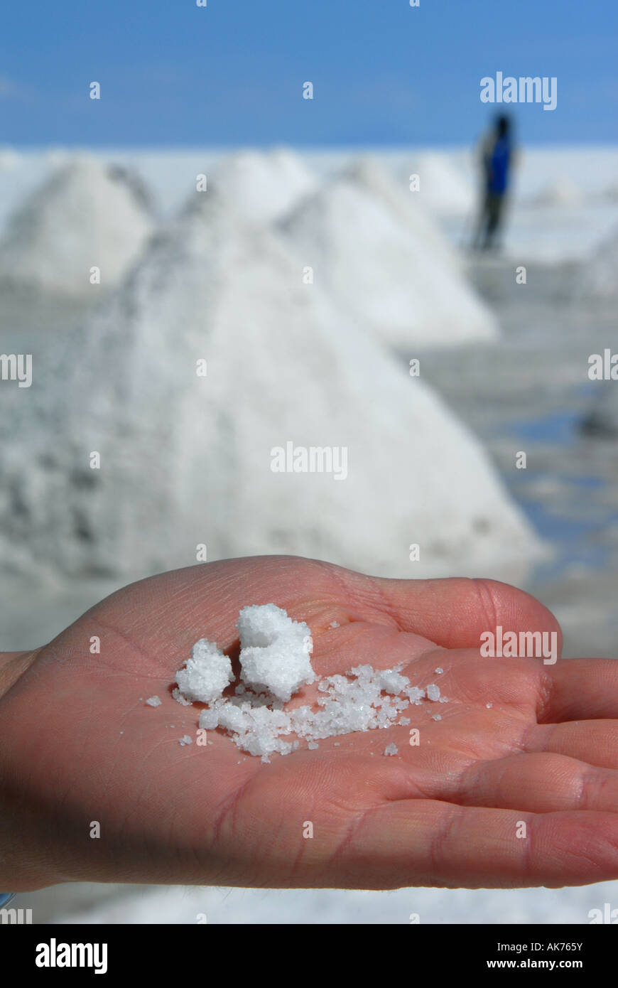 Eine Hand hält Rohsalz vor riesigen Salz Grabhügel, die von den Einheimischen auf den Salar de Uyuni in der Nähe von Uyuni, Bolivien trocknen aufgestapelt sind Stockfoto