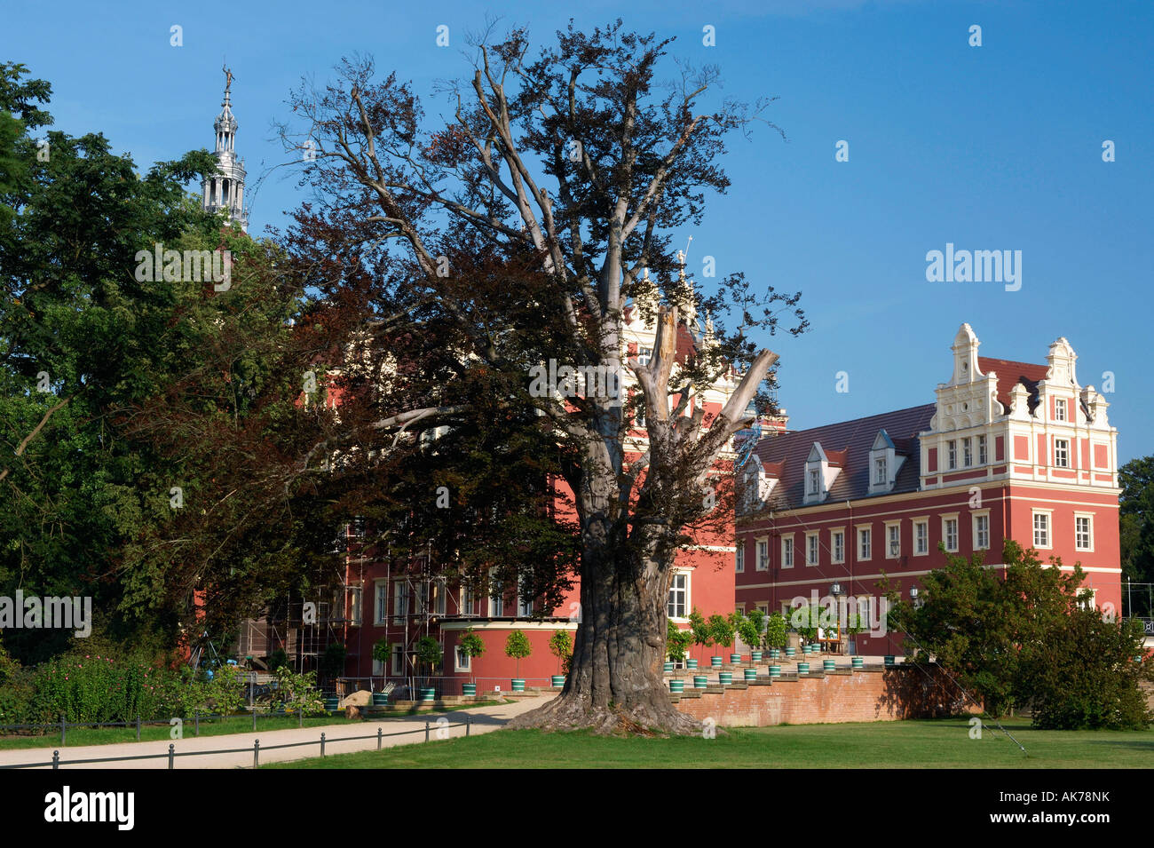 Neues Schloss / Bad Muskau Stockfoto