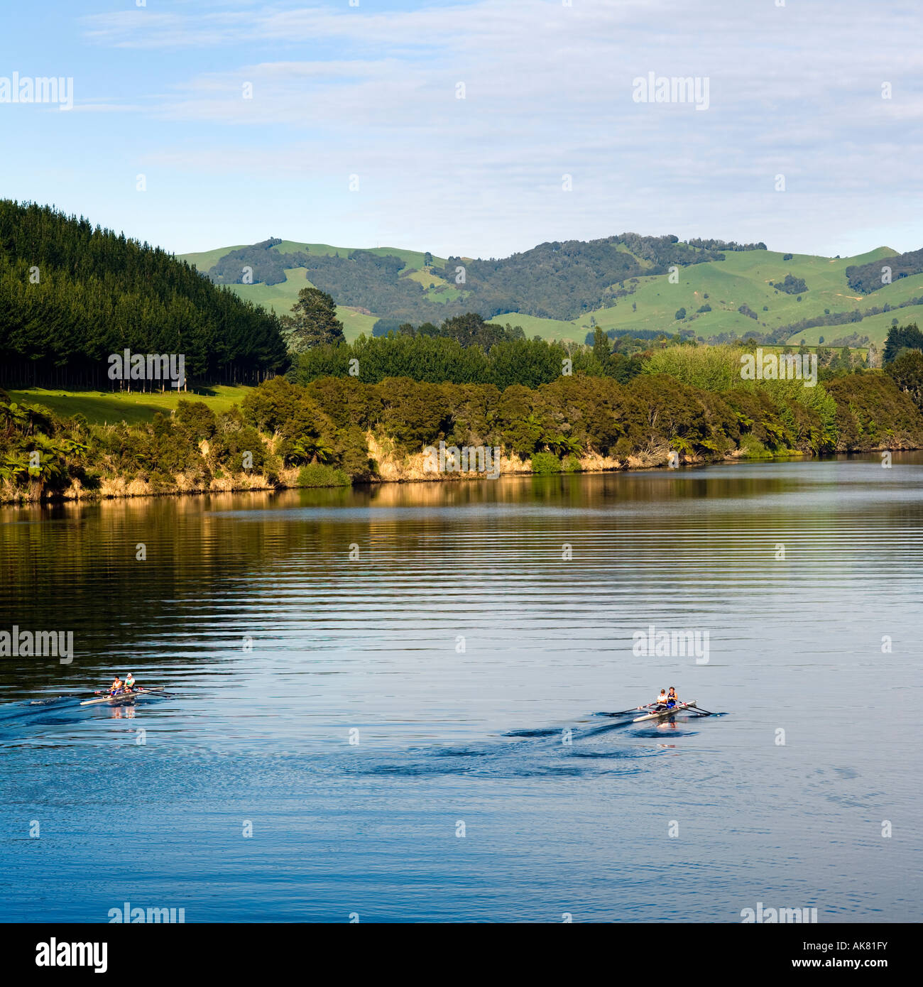 Training auf dem Waikato River New Zealand Rudern Stockfoto