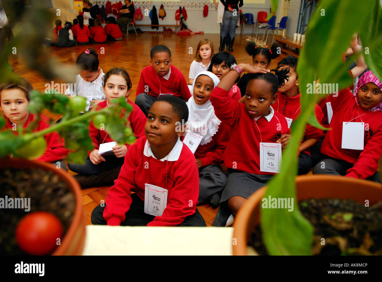 Grundschüler erhalten Unterricht in gesunde Ernährung von Mitgliedern der Junior League of London. Stockfoto