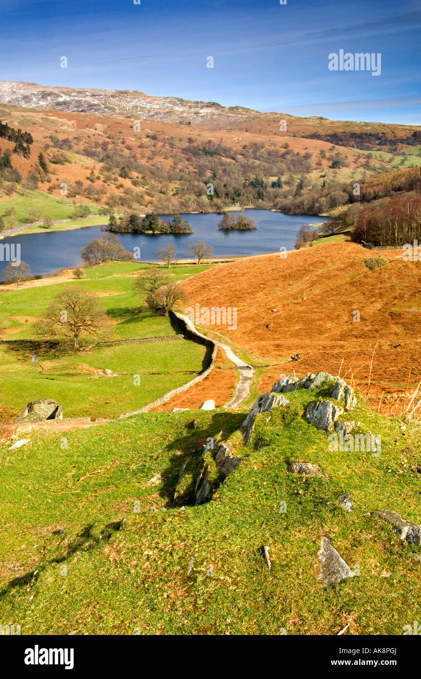 Rydal Wasser im Herbst aus Loughrigg Terrasse, Nationalpark Lake District, Cumbria, England, UK Stockfoto