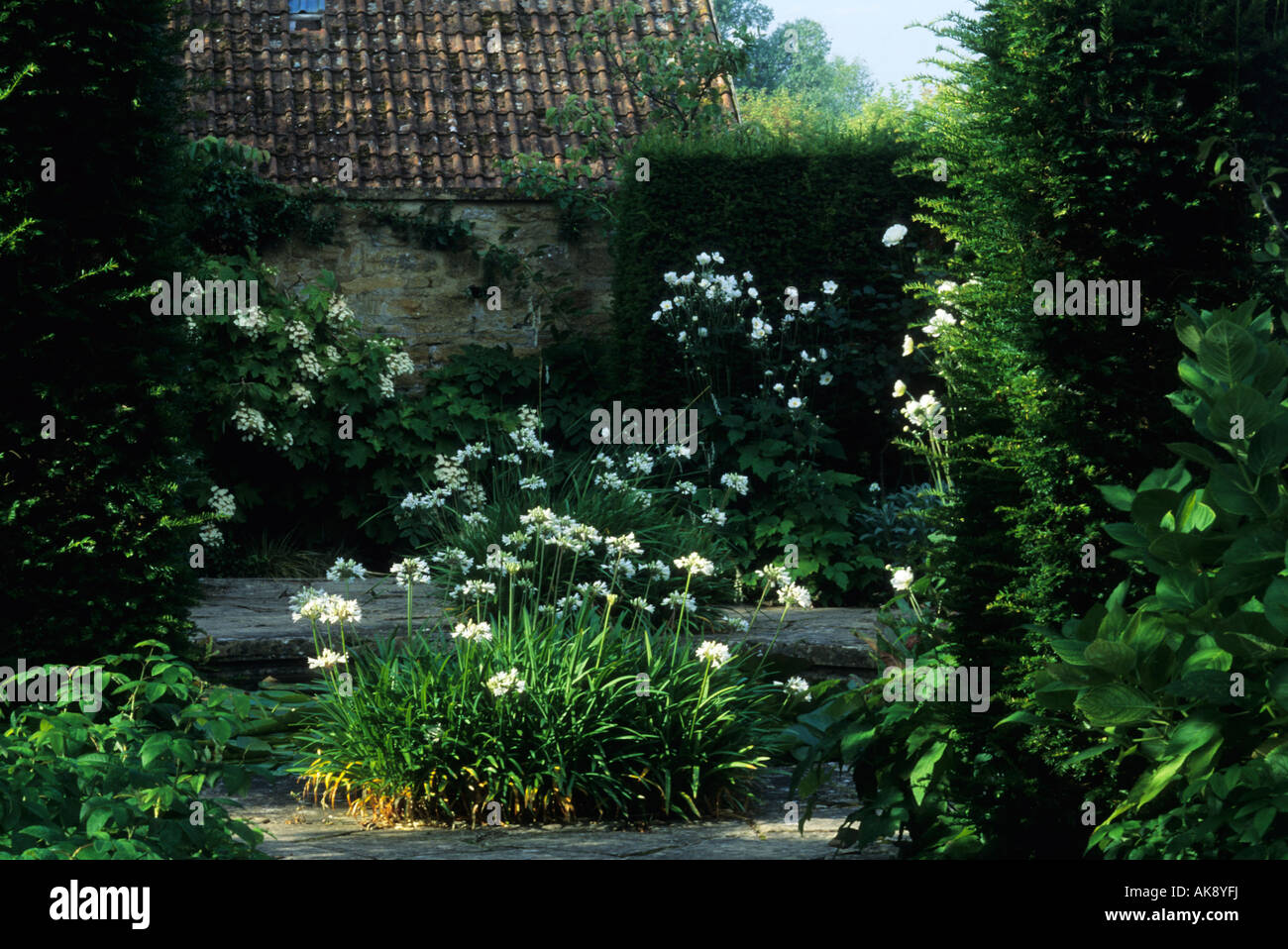 Tintinhul Somerset National Trust Garten Penelope Hobhouse weißen