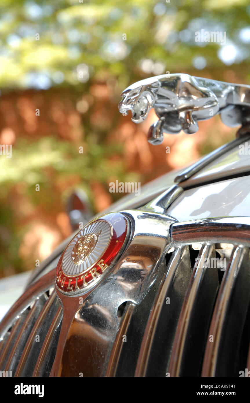 1963 Jaguar Mk2-Abzeichen und Maskottchen-detail Stockfoto