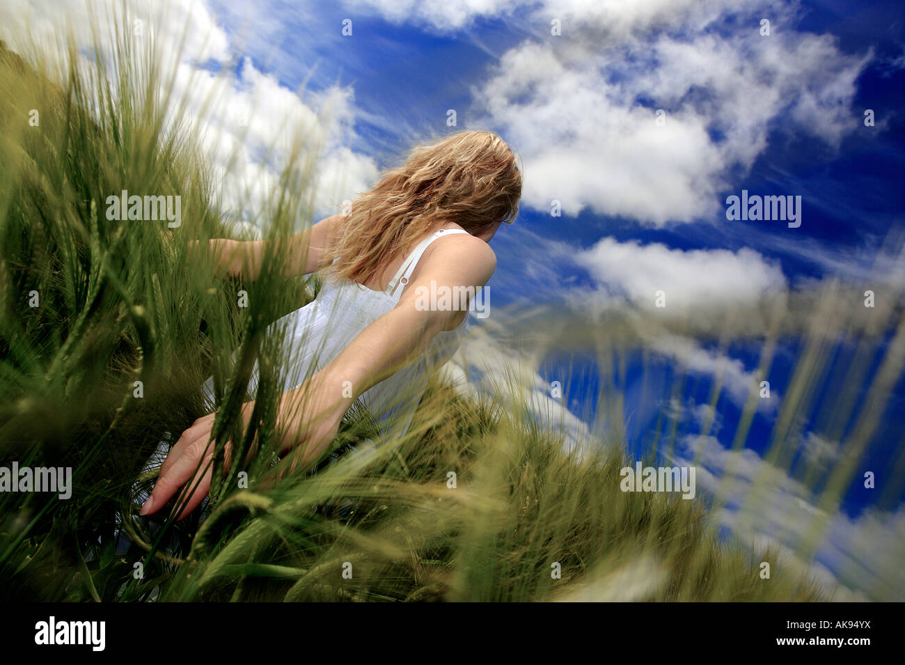 Folgen Sie mir, Lust, Leidenschaft, Emotion, glücklich, Führer, Frau, Weiblich, Kleid, weiß, Hand, Gerste, Liebe, Wolken, Himmel Stockfoto