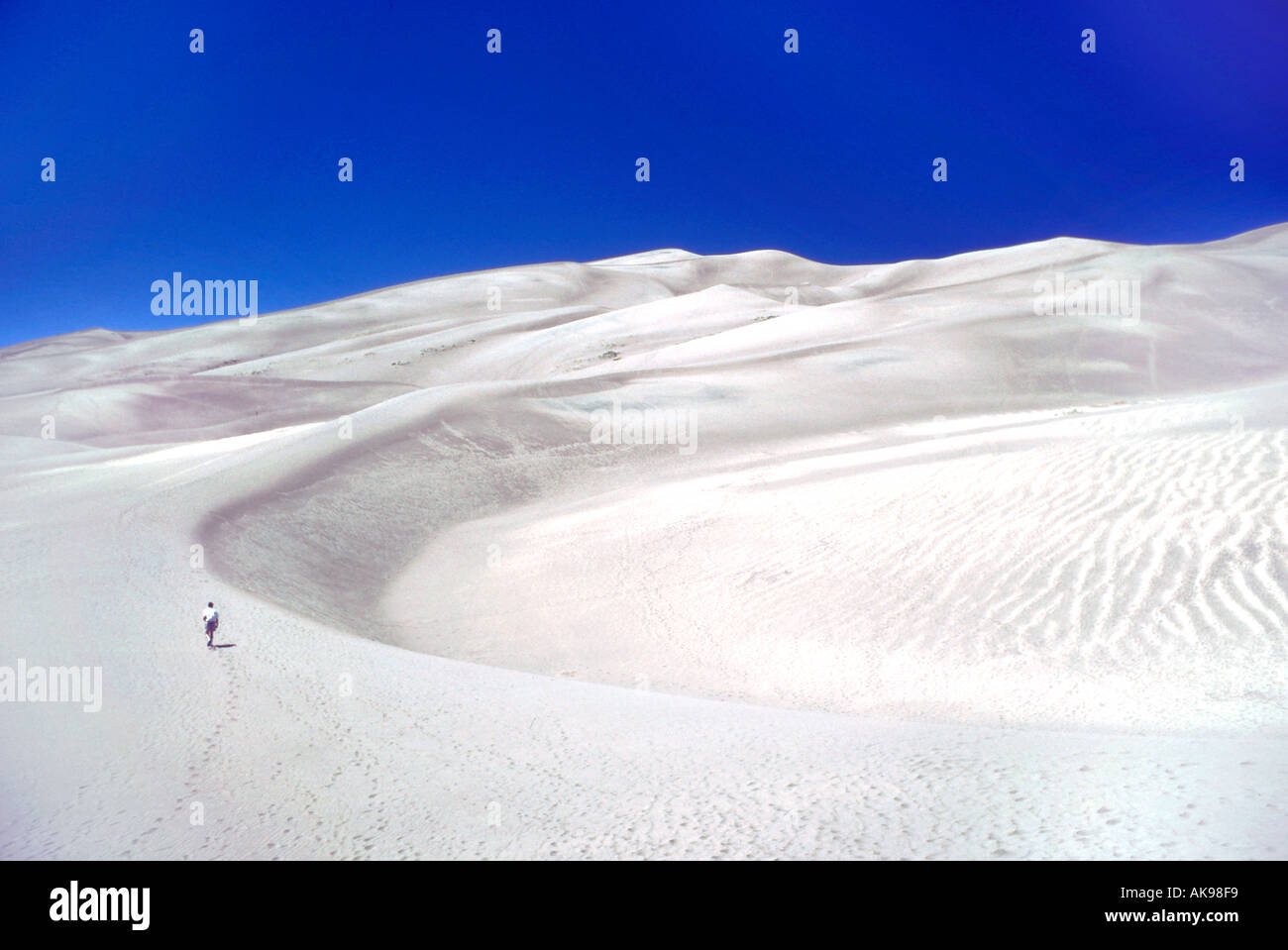 Sanddünen in der Wüste Stockfoto