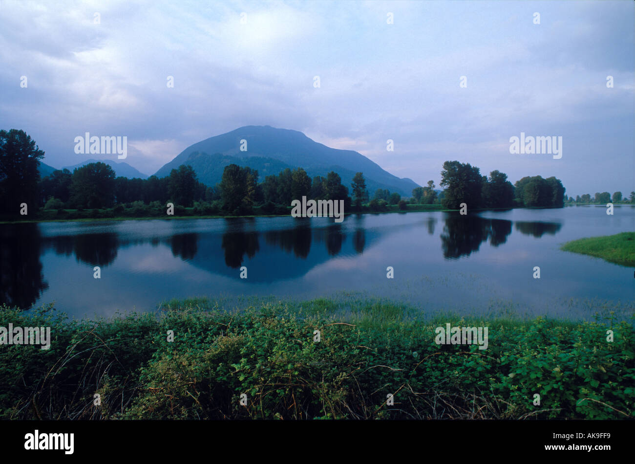 Pitt River unteren Festland British Columbia Kanada Stockfoto