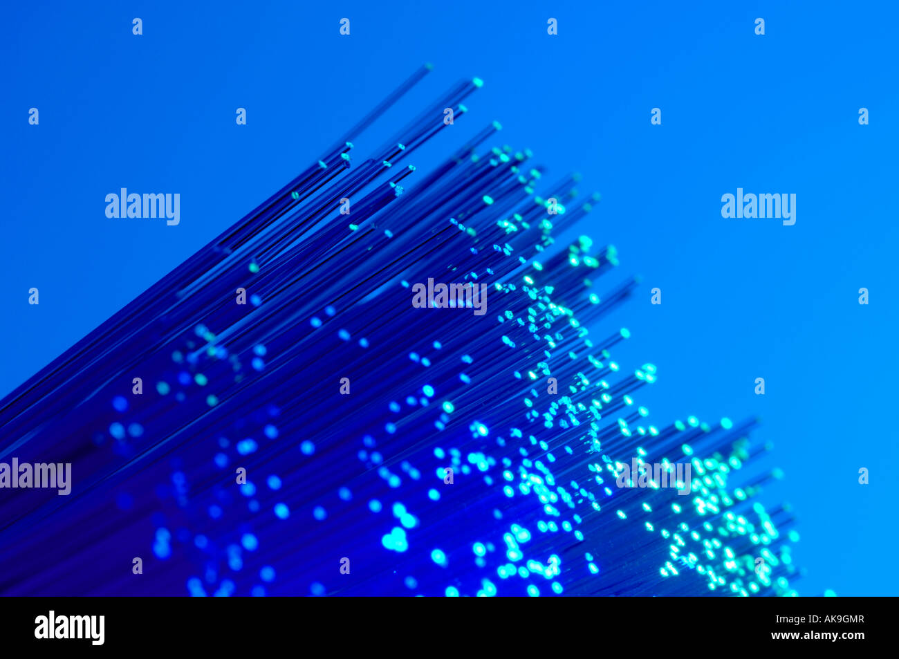 LWL-Kabel Stockfoto LWL-Kabel Stockfoto