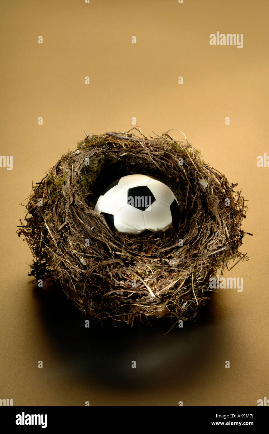 Fußball in einem Vogelnest Stockfoto