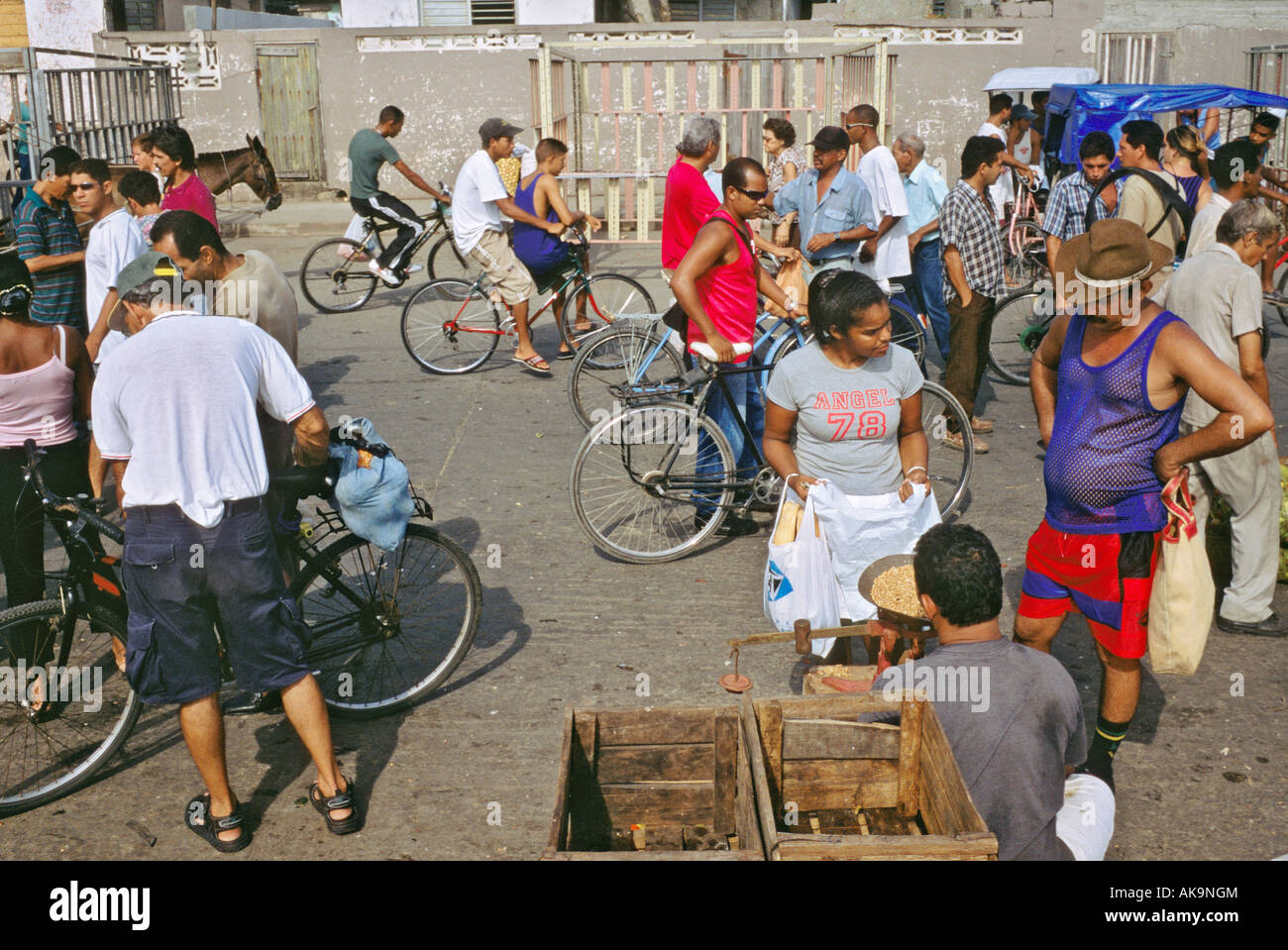 Blick auf den Samstagsmarkt unter freiem Himmel in Baracoa Kuba Stockfoto