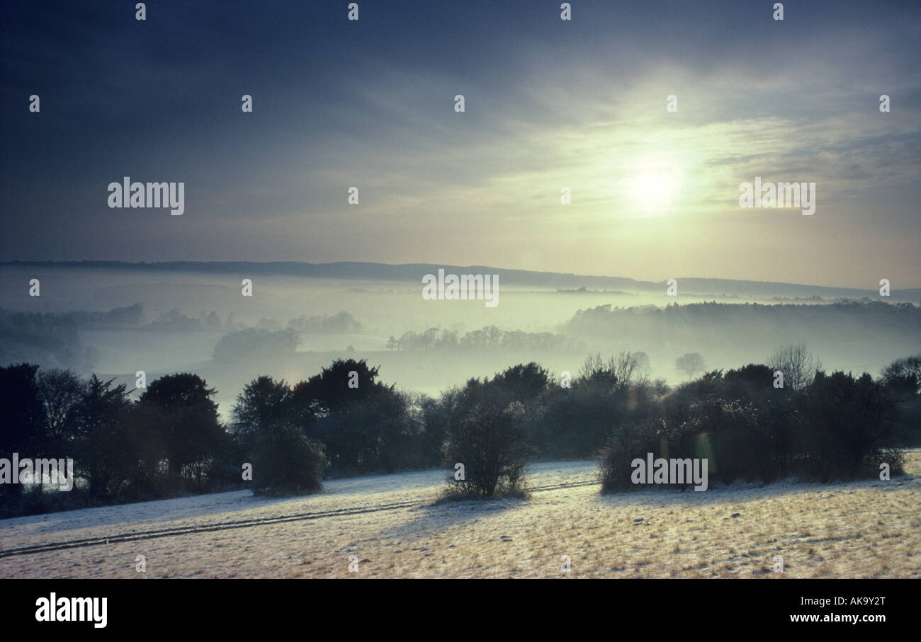 Newlands Ecke Surrey im winter Stockfoto