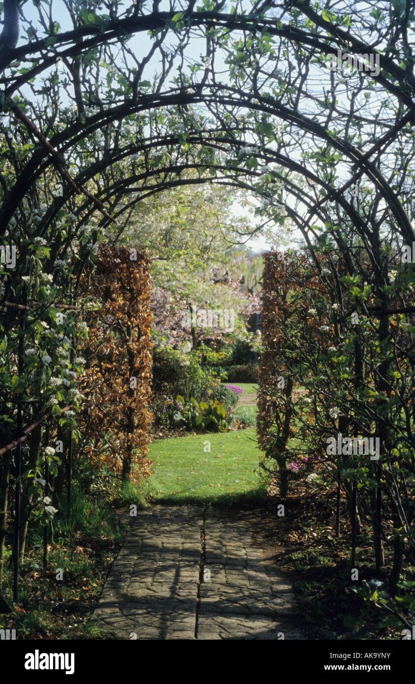 Barnsdale Rutland Geoff Hamilton s Garten Apfel Obst tunnel Stockfoto