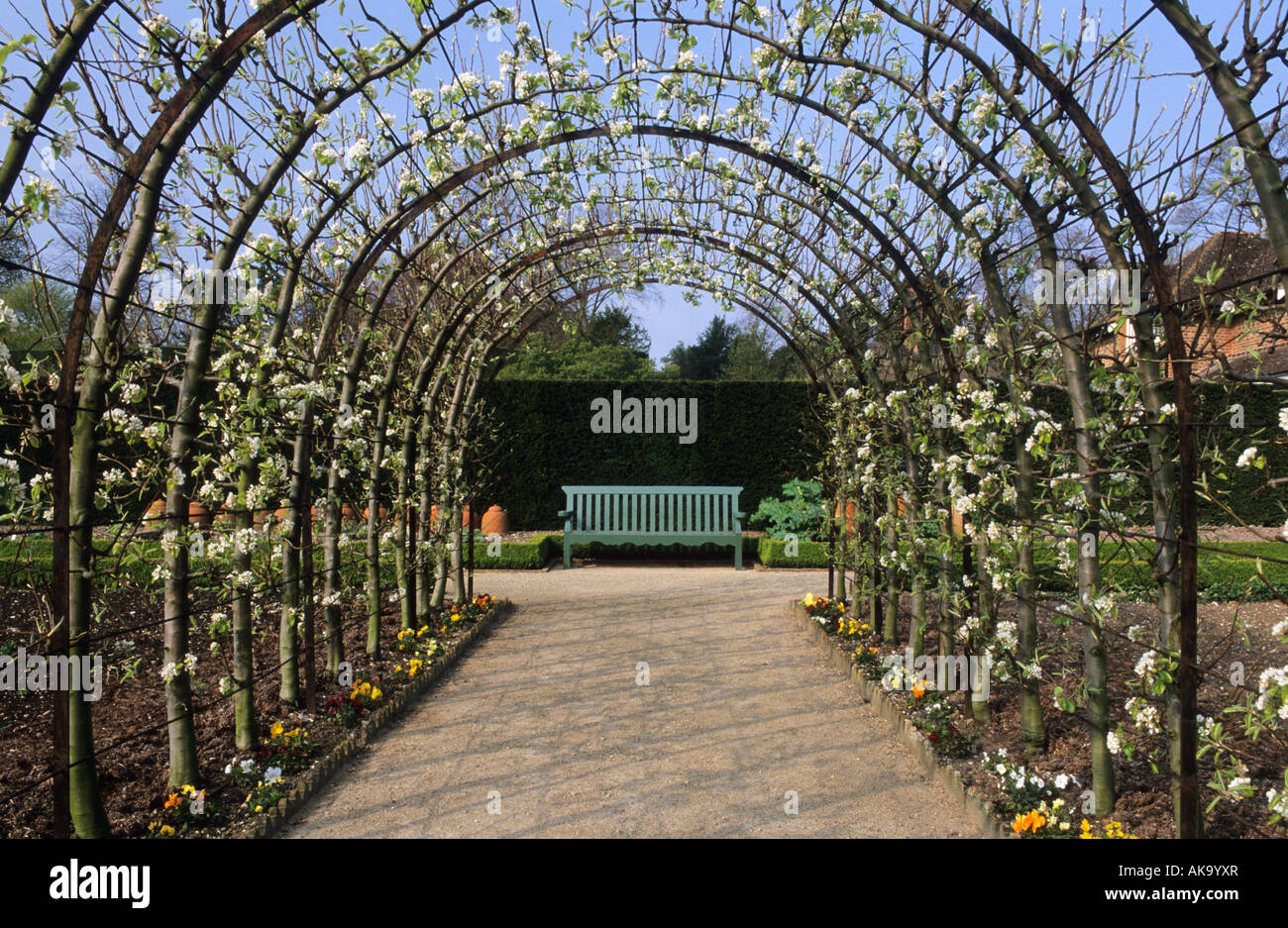 West Dean Sussex Birne Pergola mit Pfad und Bank als Focal point Stockfoto