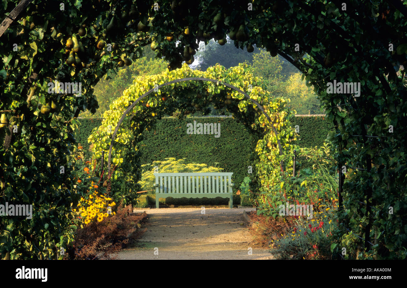 West Dean Sussex Birne Pergola mit Pfad und Bank als Focal point Stockfoto