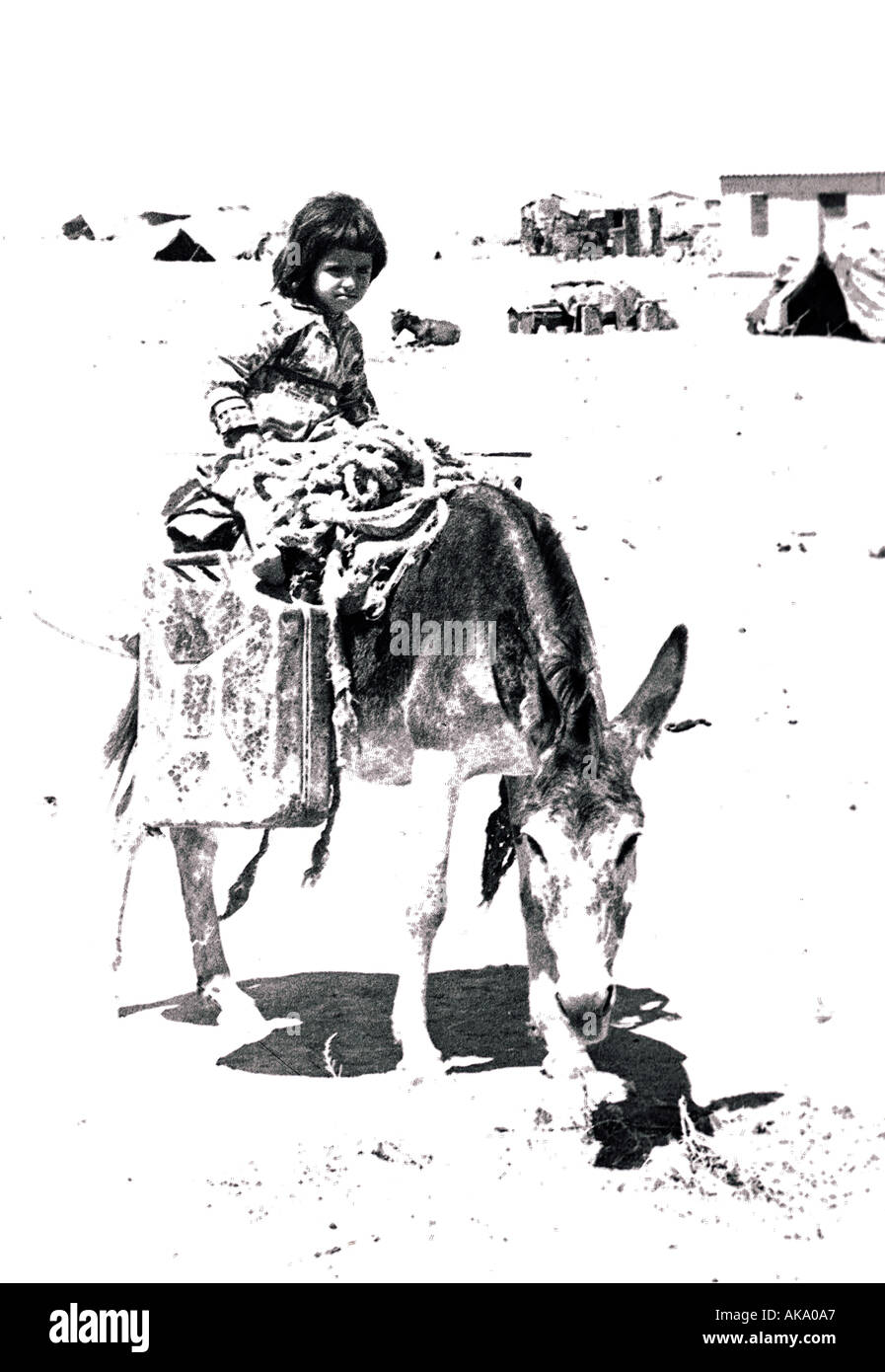 Beduin Mädchen auf Esel 1 Stockfoto