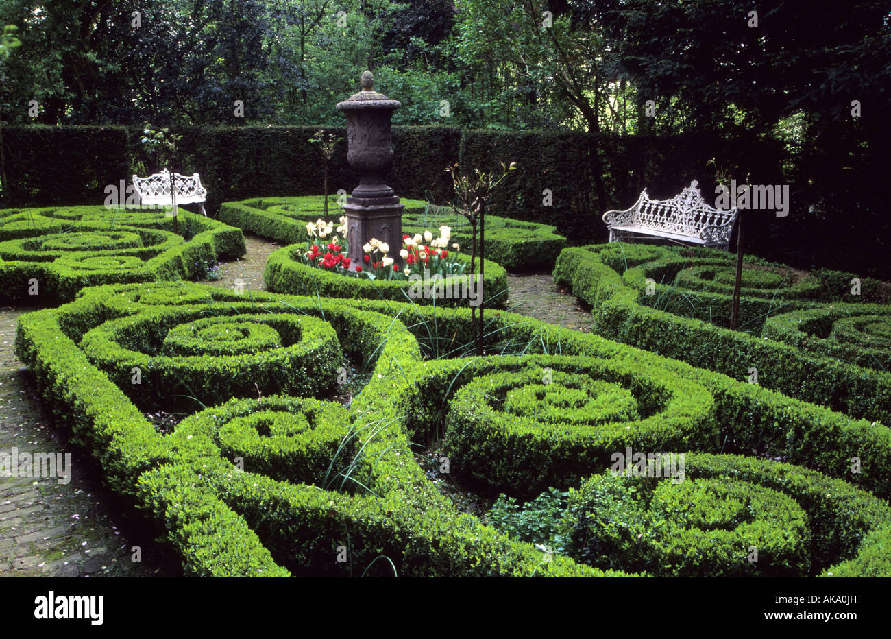 Aarsveld Holland Knoten Garten im Frühjahr Boxwood Hecken