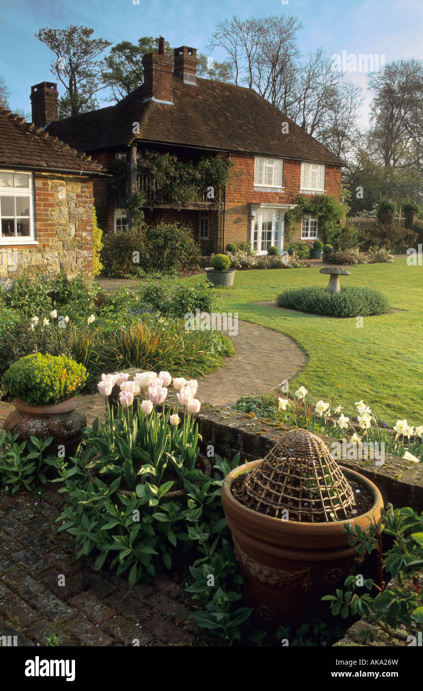 Frith Hill Sussex Tulipa Shirley in Behälter im Frühlingsgarten Stockfoto