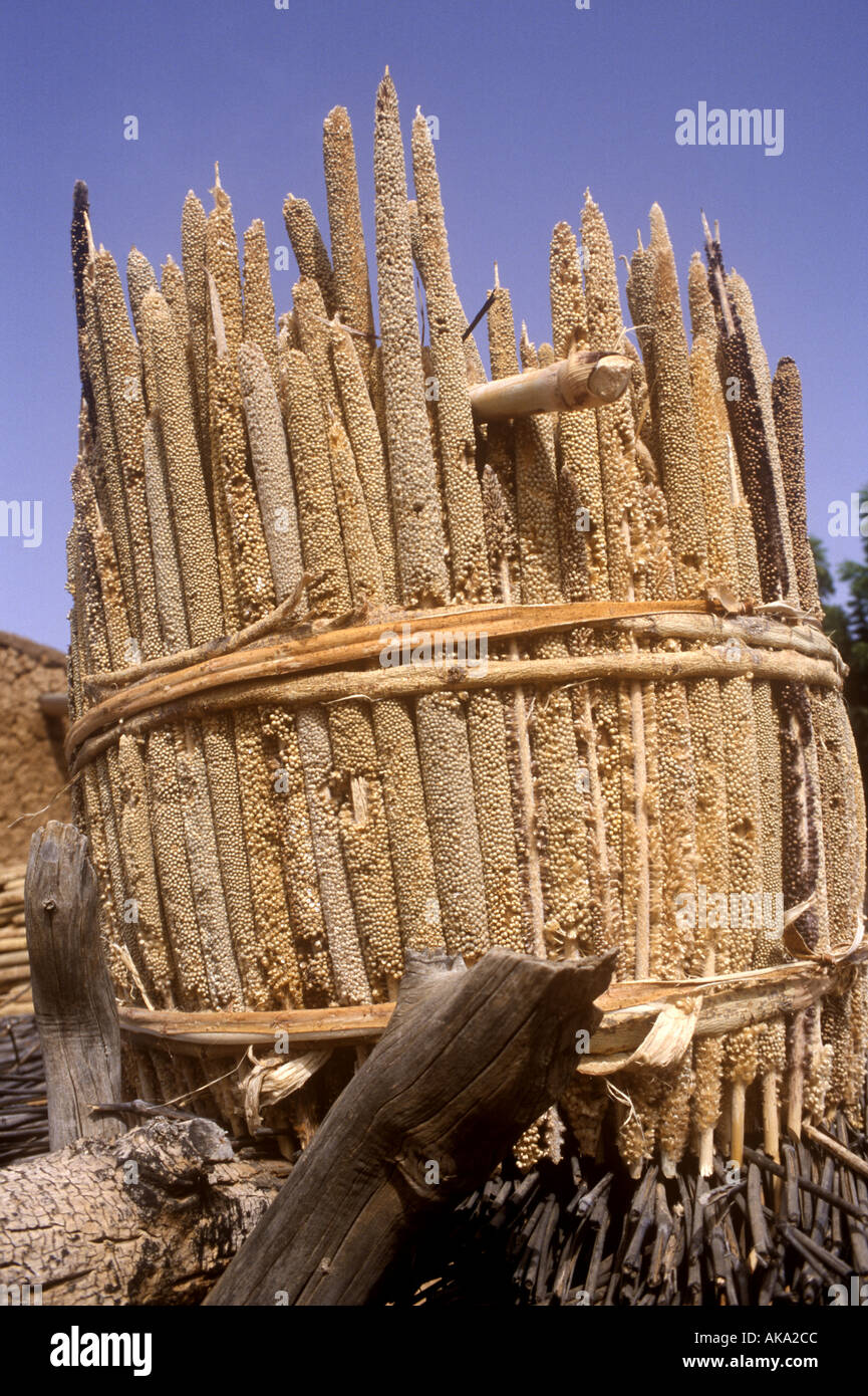 Ballen von Hirse in Burkina Faso Stockfoto