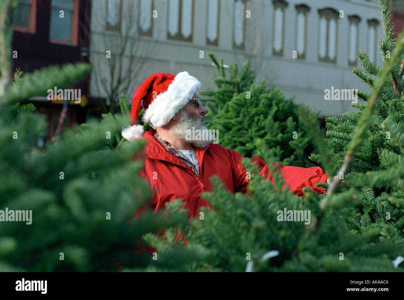 Mann trägt Weihnachtsmütze Weihnachtsbaum viel Stockfoto