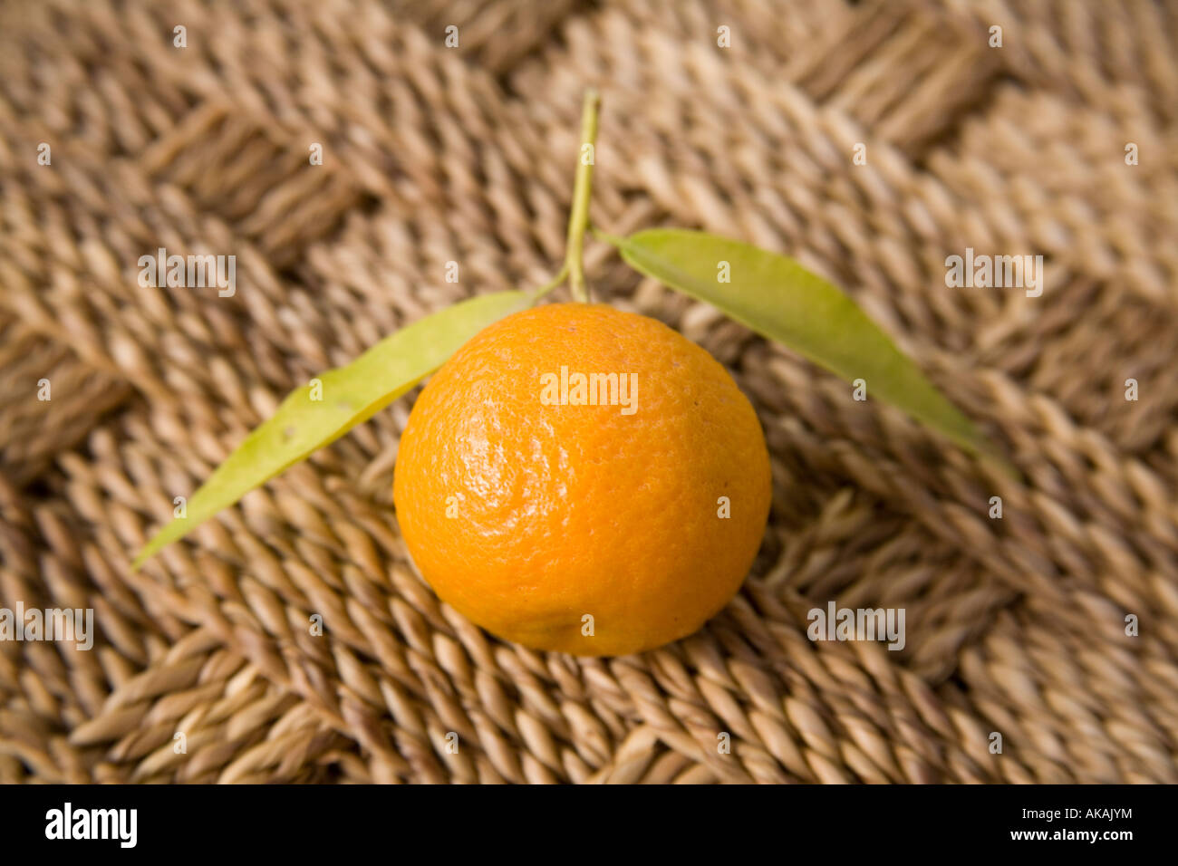 Frische Clementine oder Mandarine, Marrakesch, Marokko, Afrika. Stockfoto