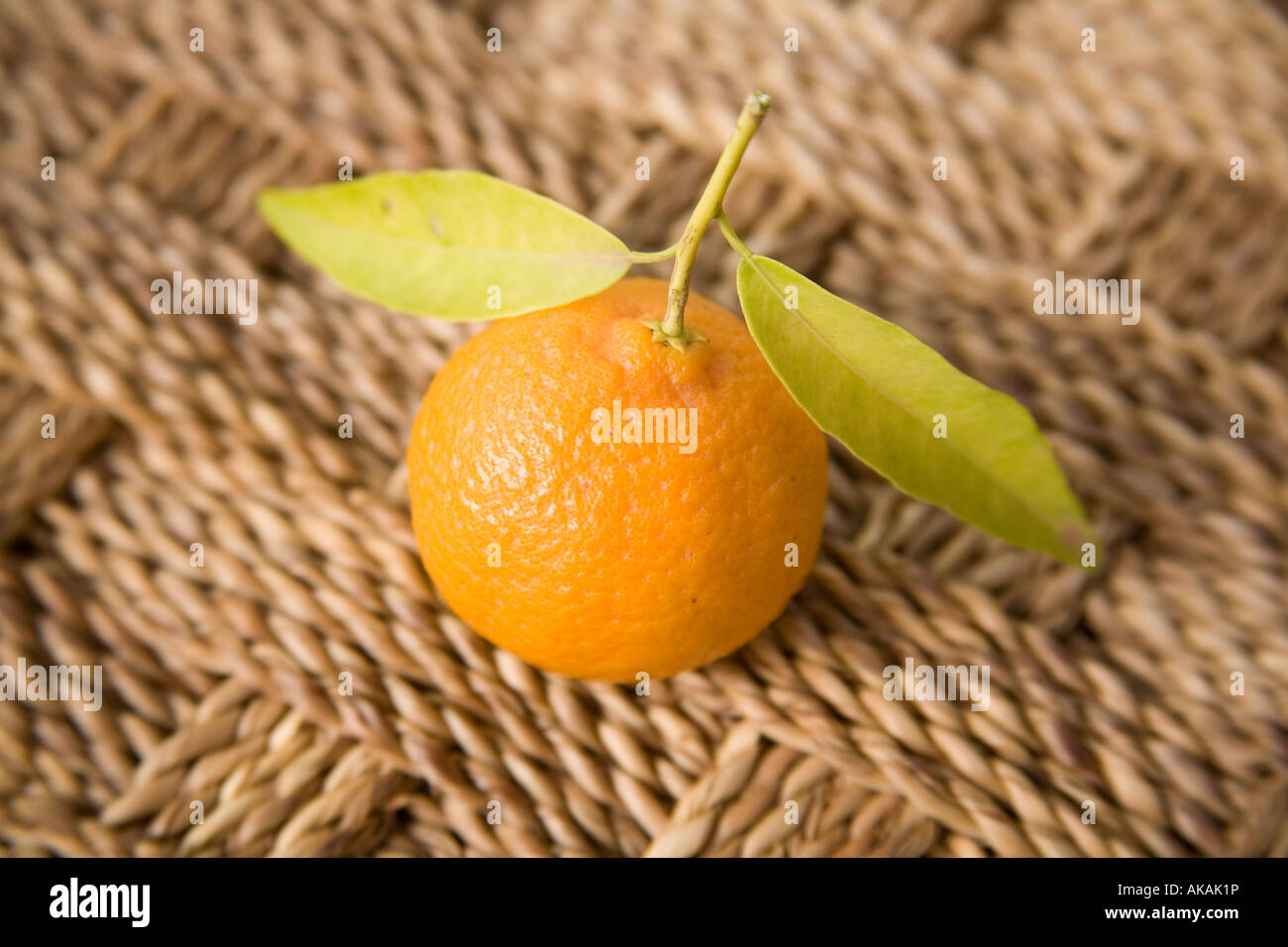 Frische Clementine oder Mandarine, Marrakesch, Marokko, Afrika. Stockfoto