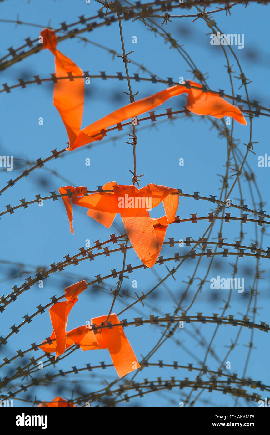 Orange Bänder hängen in Stacheldraht als Symbol für den Kampf gegen die Räumung von jüdischen Siedlungen in Gush Katif Gazastreifen gebunden Stockfoto