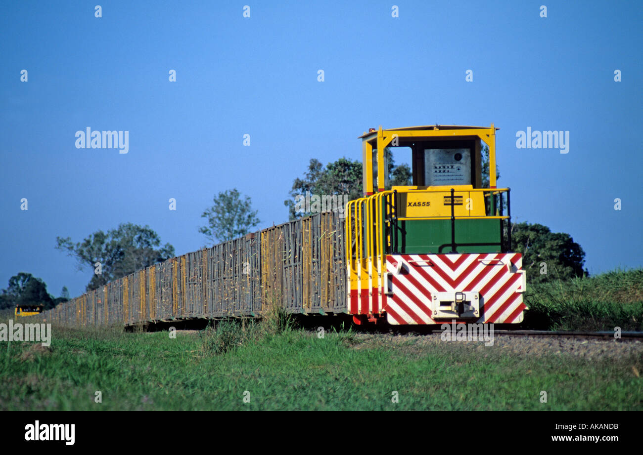Zug auf den Zuckerrohr-Eisenbahn-Queensland-Australien Stockfoto