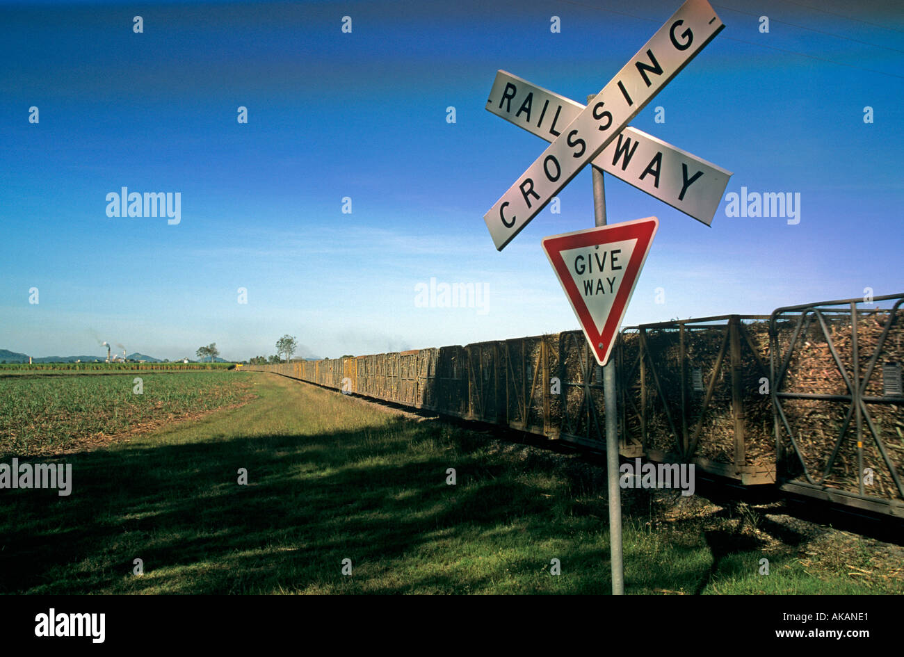 Bahnübergang Zeichen mit Zug und Wagen von Zuckerrohr in Queensland-Australien Stockfoto