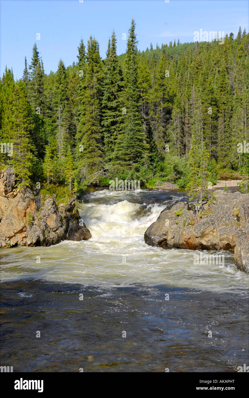 Rancheria Falls Recreation Site entlang Alaska Highway ALCAN Al Dose Yukon Territory Kanada Stockfoto
