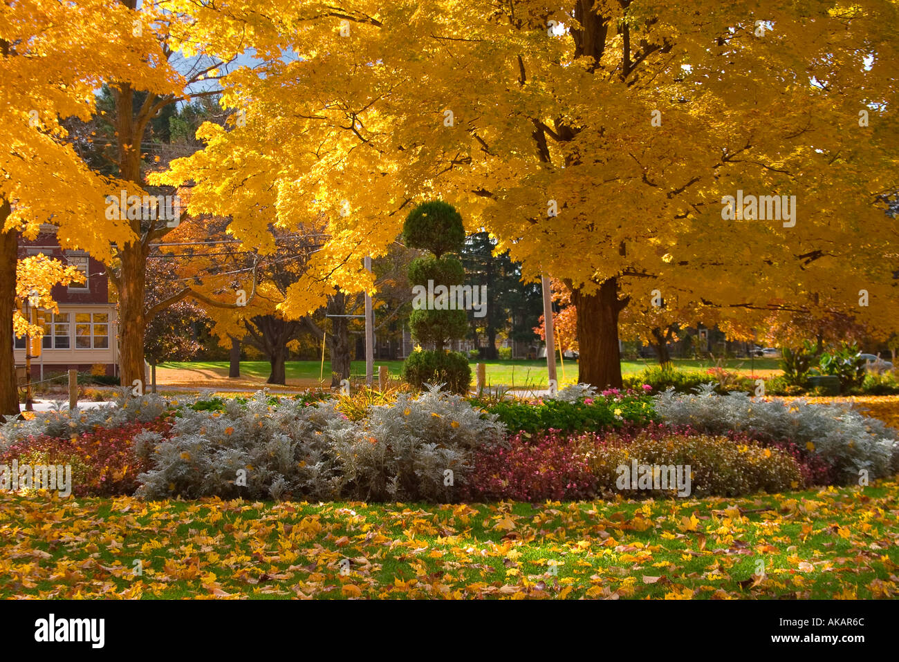 Herbstfarben in einem Stadtpark, Newburyport MA Stockfoto