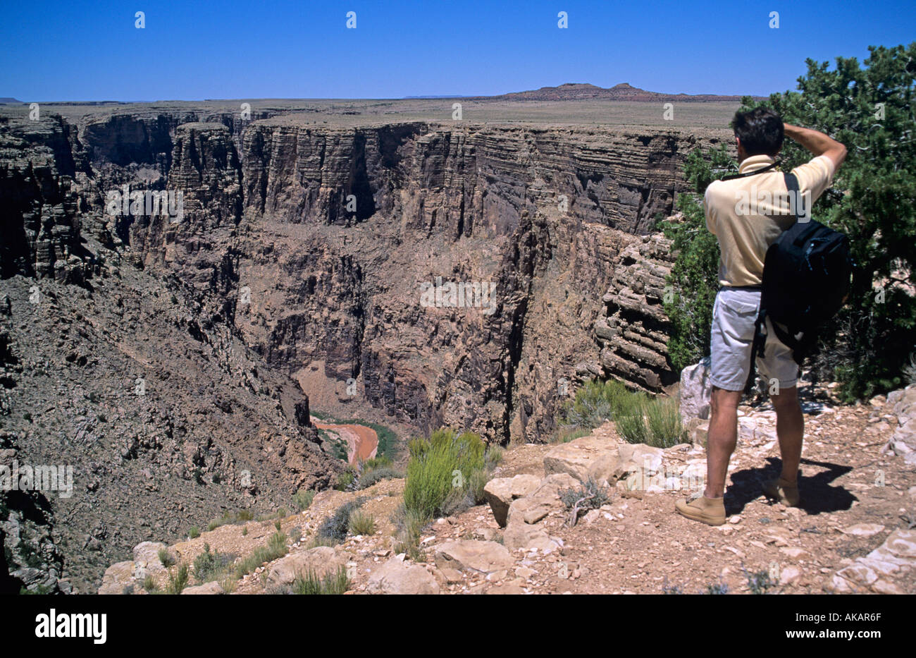 Mann steht am Rande einer Schlucht Teil eine Reihe Schluchten in der Nähe von Grand Canyon des Colorado River unter USA Stockfoto