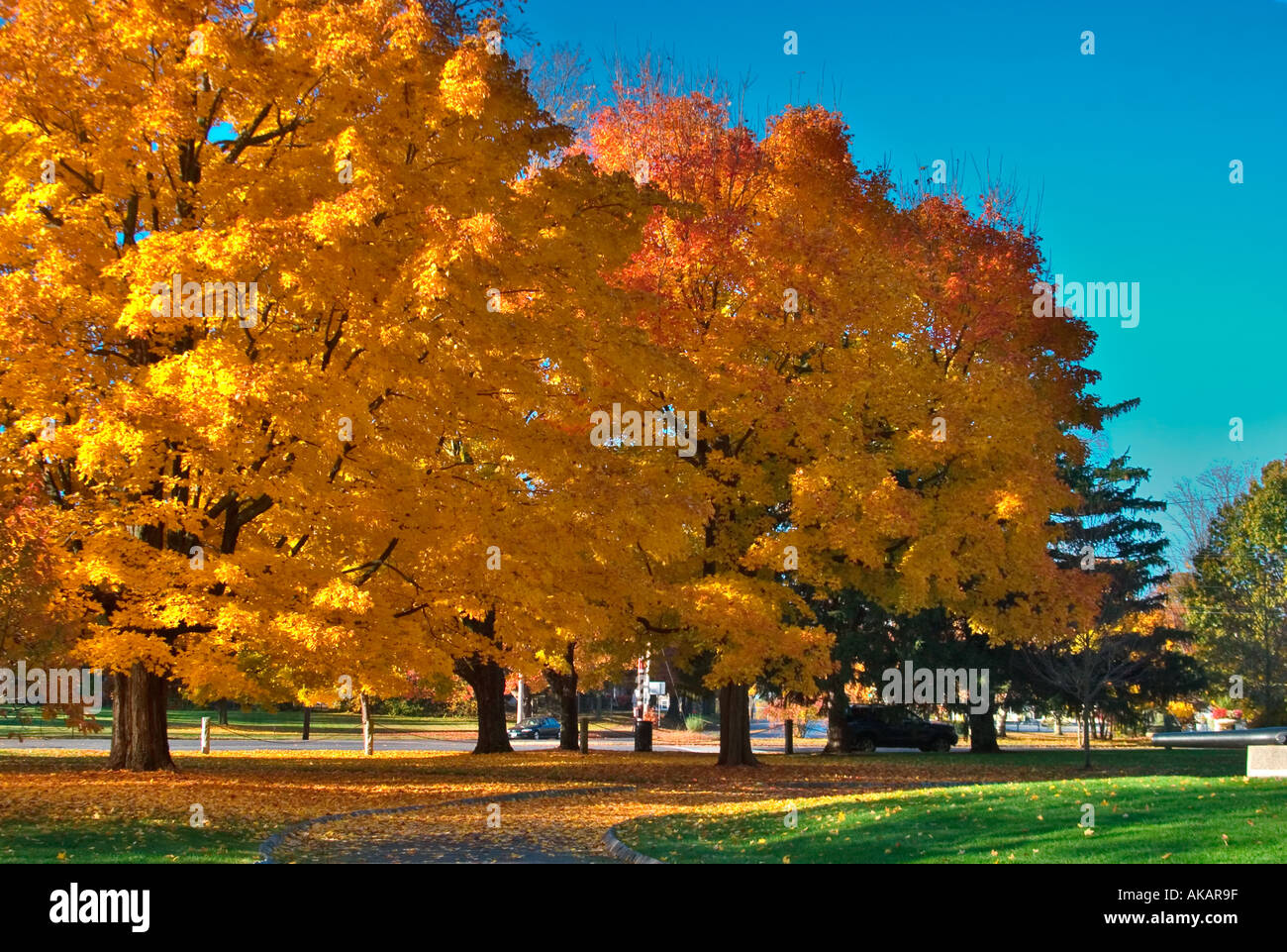Herbst Farben in einem Stadtpark Newburyport MA Stockfoto