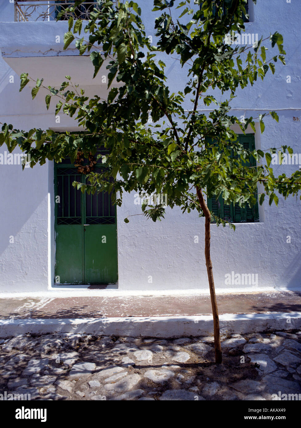Weißes Gebäude mit grünen Tür und Baum vor Griechenland Stockfoto