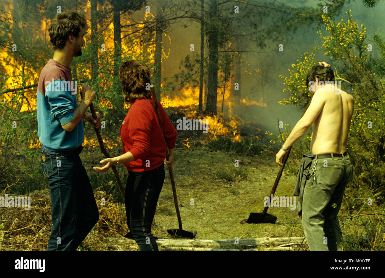 Freiwillige kämpfende Feuer eine Waldbrände im New Forest Hampshire England Stockfoto