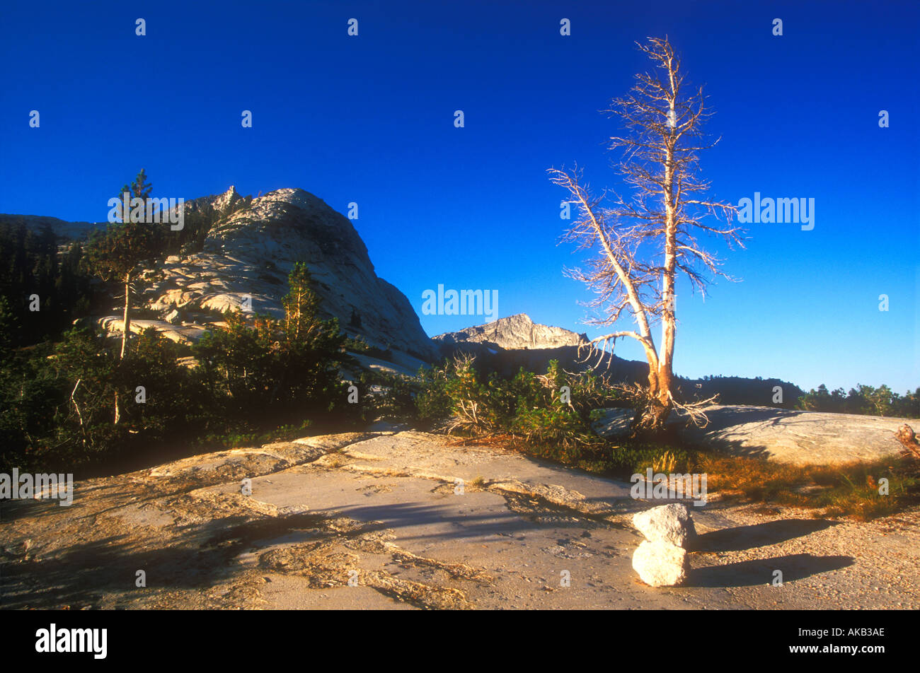 Cathedral Lake High Sierra Yosemite Nationalpark NP Kalifornien USA Vereinigte Staaten von Amerika Stockfoto